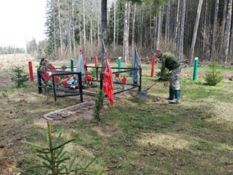 Сотрудники Истринского лесничества привели в порядок братские могилы накануне Дня Победы новости Истра 